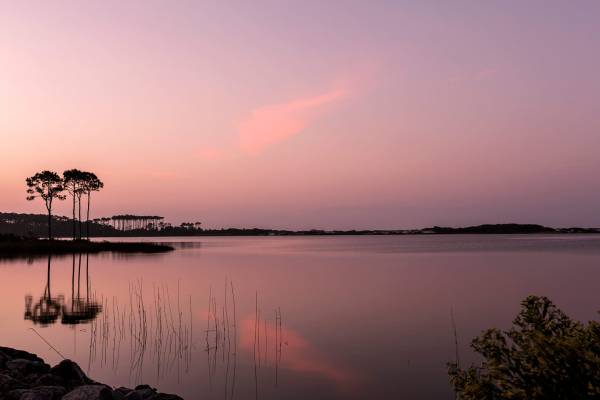 Things To Do https://rivardnet.icnd-cdn.com/images/thingstodo/Fall-Activities-on-30A.jpg