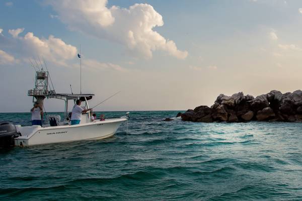 Things To Do https://rivardnet.icnd-cdn.com/images/thingstodo/ecotours-30a.jpg